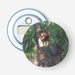 "Up in Trees: An Australian Tree Kangaroo Climbs Bottle Opener