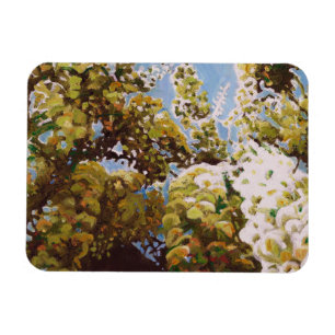 Up into wisteria 2011 magnet