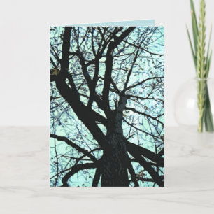 Up the Tree Birthday Card