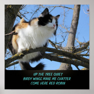 Up the Tree Quiet Cat Meme Haiku Poster