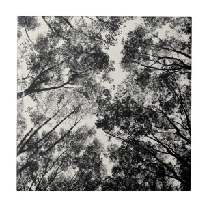 Up Through The Trees, 2018 SVP Images Ceramic Tile