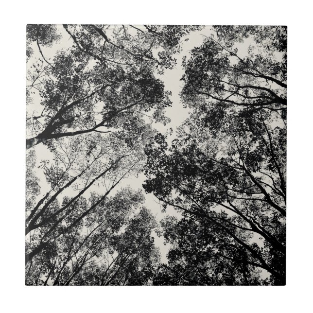 Up Through The Trees, 2018 | SVP Images Ceramic Tile (Front)