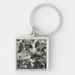 Up Through The Trees, 2018   SVP Images Key Ring