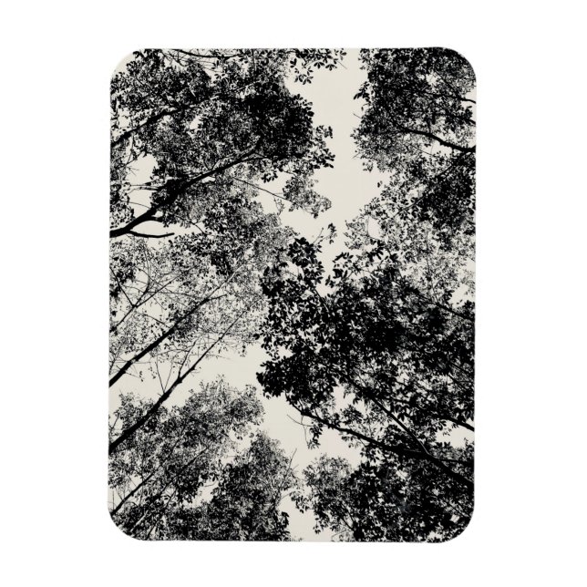 Up Through The Trees, 2018 | SVP Images Magnet (Vertical)