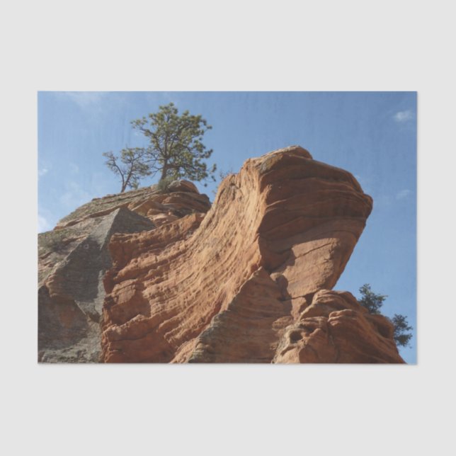 Up to Angels Landing in Zion National Park Tissue Paper (Front)