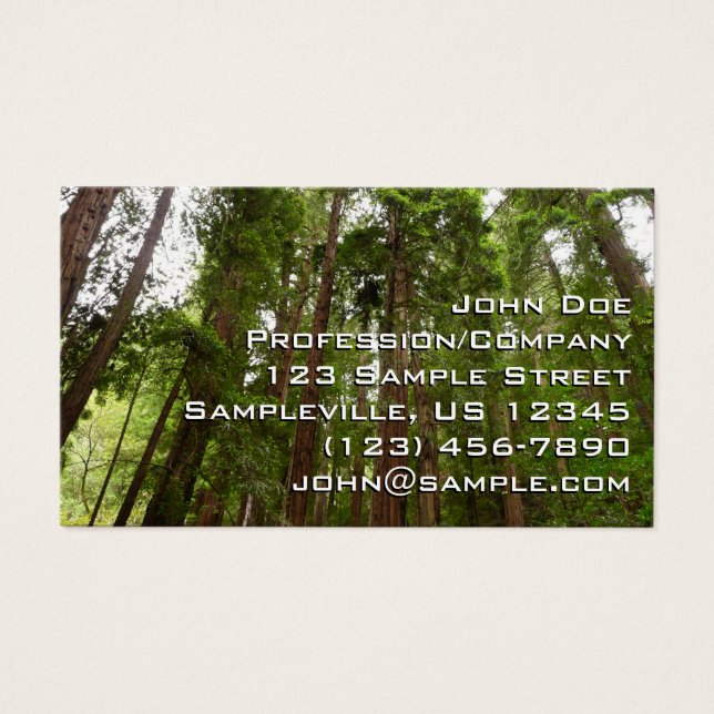 Up to Redwoods I at Muir Woods National Monument (Front)