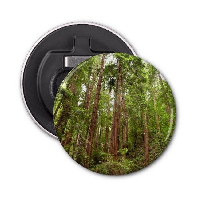 Up to Redwoods I at Muir Woods National Monument Bottle Opener (Front)