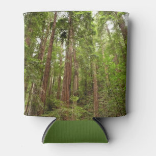 Up to Redwoods I at Muir Woods National Monument Can Cooler
