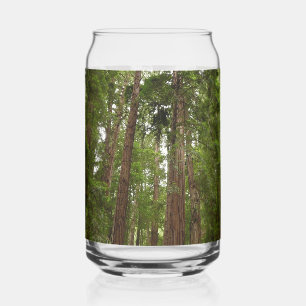 Up to Redwoods I at Muir Woods National Monument Can Glass