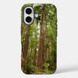 Up to Redwoods I at Muir Woods National Monument iPhone 16 Case