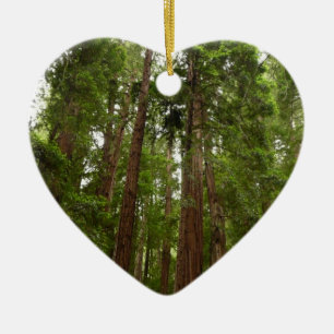 Up to Redwoods I at Muir Woods National Monument Ceramic Tree Decoration