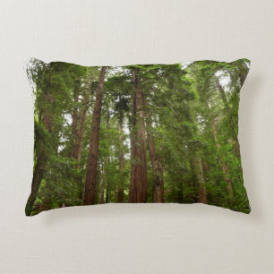 Up to Redwoods I at Muir Woods National Monument Decorative Cushion