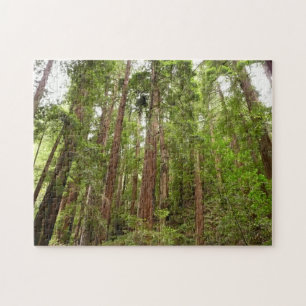 Up to Redwoods I at Muir Woods National Monument Jigsaw Puzzle