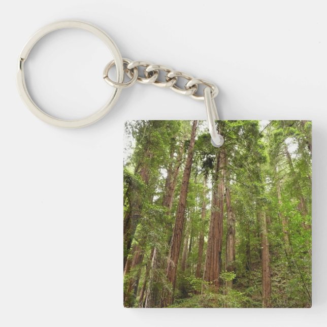 Up to Redwoods I at Muir Woods National Monument Key Ring (Front)