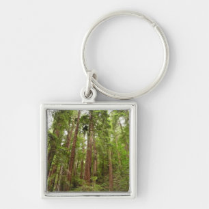 Up to Redwoods I at Muir Woods National Monument Key Ring