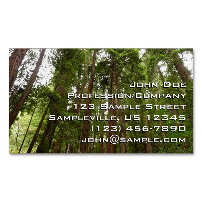 Up to Redwoods I at Muir Woods National Monument Magnetic Business Card (Front)
