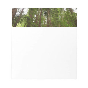 Up to Redwoods I at Muir Woods National Monument Notepad