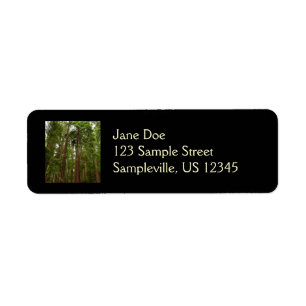 Up to Redwoods I at Muir Woods National Monument Return Address Label