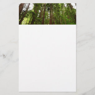 Up to Redwoods I at Muir Woods National Monument Stationery
