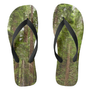 Up to Redwoods I at Muir Woods National Monument Thongs