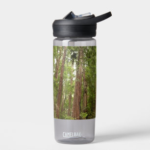 Up to Redwoods I at Muir Woods National Monument Water Bottle