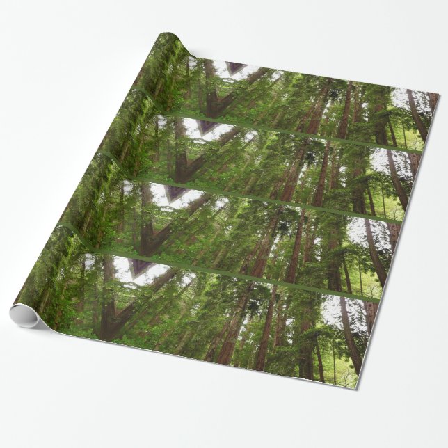 Up to Redwoods I at Muir Woods National Monument Wrapping Paper (Unrolled)