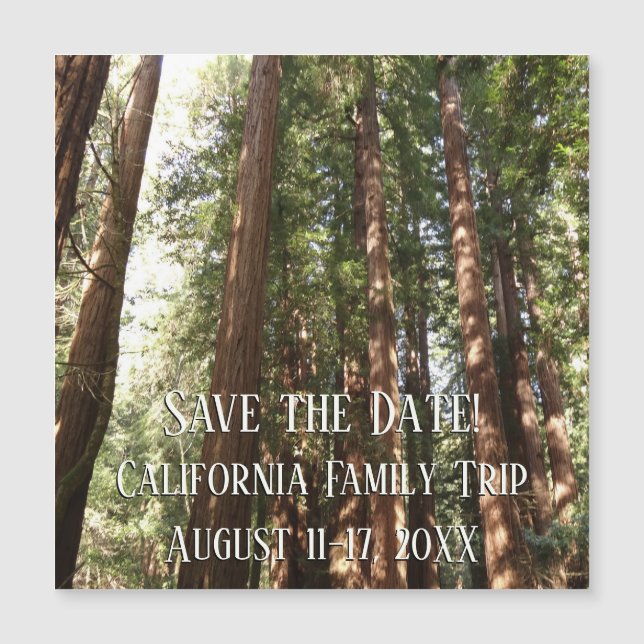 Up to Redwoods II at Muir Woods National Monument (Front)