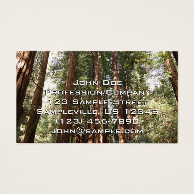 Up to Redwoods II at Muir Woods National Monument (Front)