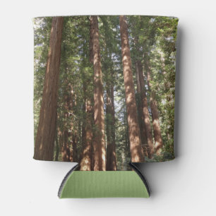 Up to Redwoods II at Muir Woods National Monument Can Cooler