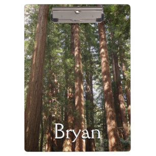 Up to Redwoods II at Muir Woods National Monument Clipboard