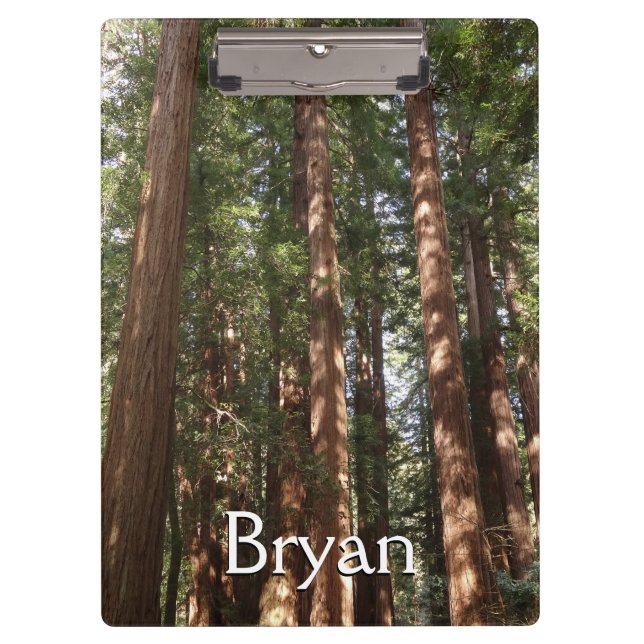 Up to Redwoods II at Muir Woods National Monument Clipboard (Front)