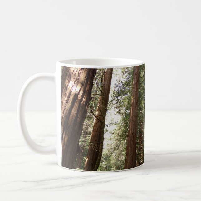 Up to Redwoods II at Muir Woods National Monument Coffee Mug (Left)
