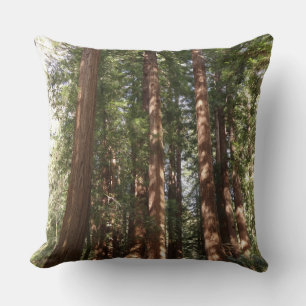 Up to Redwoods II at Muir Woods National Monument Cushion
