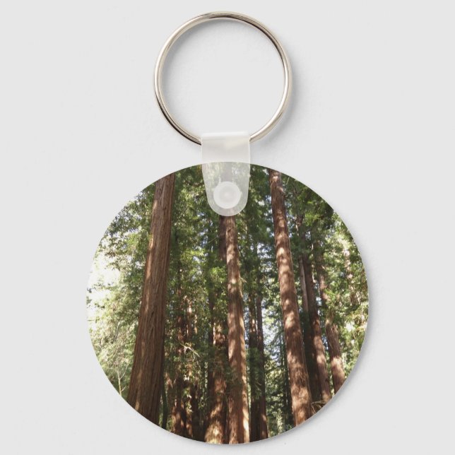 Up to Redwoods II at Muir Woods National Monument Key Ring (Front)