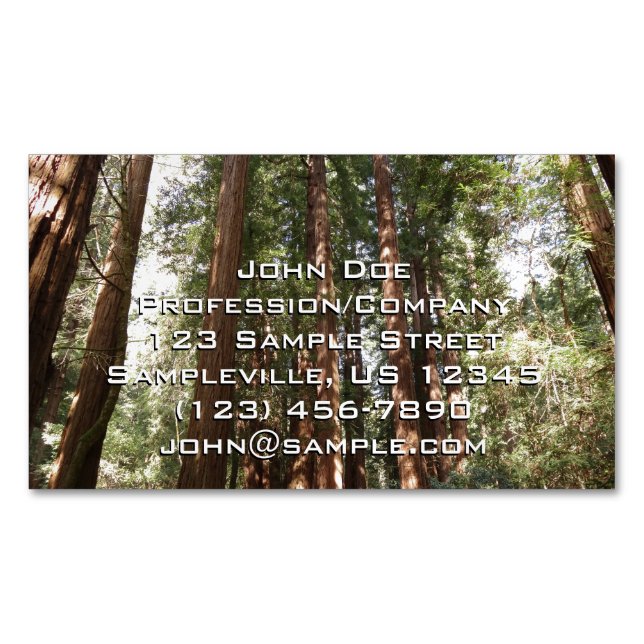 Up to Redwoods II at Muir Woods National Monument Magnetic Business Card (Front)