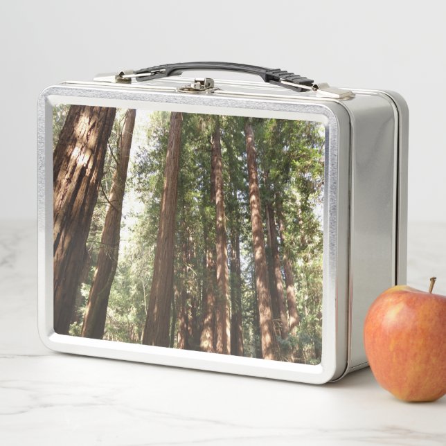 Up to Redwoods II at Muir Woods National Monument Metal Lunch Box (In Situ)