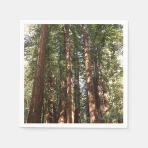 Up to Redwoods II at Muir Woods National Monument Napkin