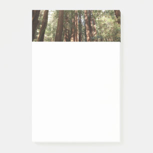 Up to Redwoods II at Muir Woods National Monument Post-it Notes