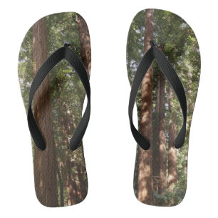 Up to Redwoods II at Muir Woods National Monument Thongs