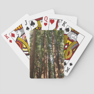 Up to Redwoods II Playing Cards