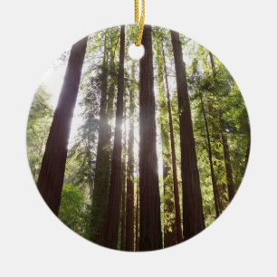 Up to Redwoods in the Morning Ceramic Ornament