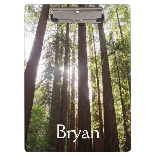 Up to Redwoods in the Morning Clipboard (Front)