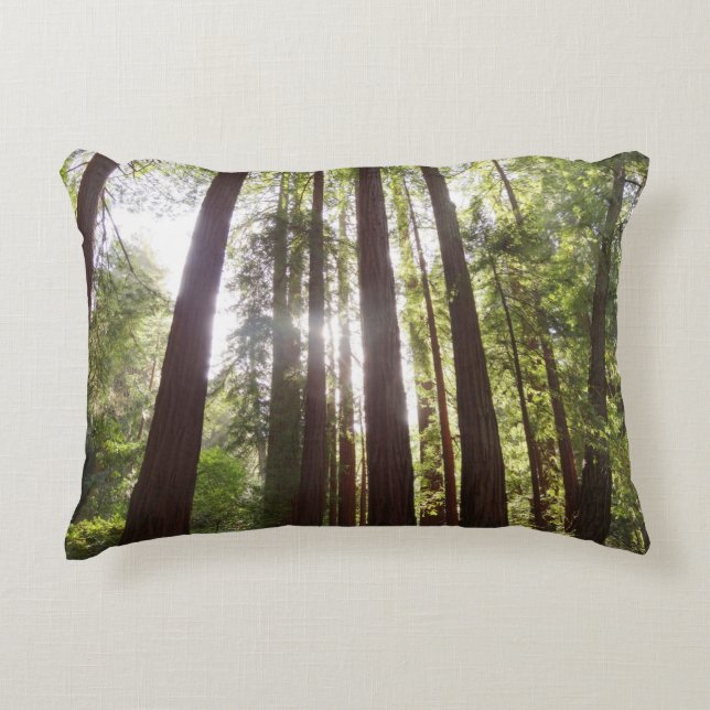 Up to Redwoods in the Morning Decorative Cushion (Front)