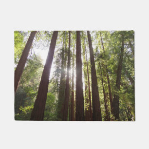 Up to Redwoods in the Morning Doormat