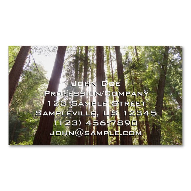 Up to Redwoods in the Morning Magnetic Business Card (Front)