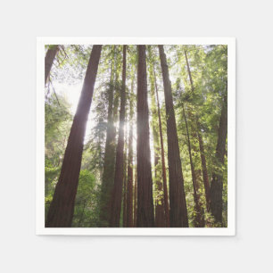 Up to Redwoods in the Morning Napkin