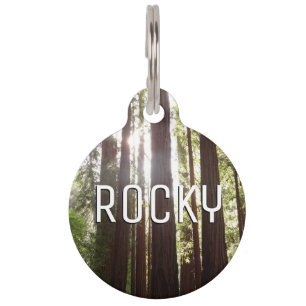 Up to Redwoods in the Morning Pet Tag