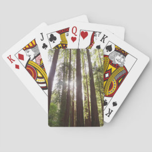 Up to Redwoods in the Morning Playing Cards