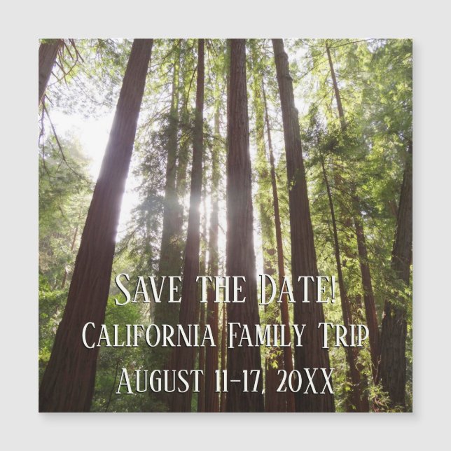 Up to Redwoods in the Morning Save the Date (Front)