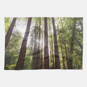 Up to Redwoods in the Morning Tea Towel